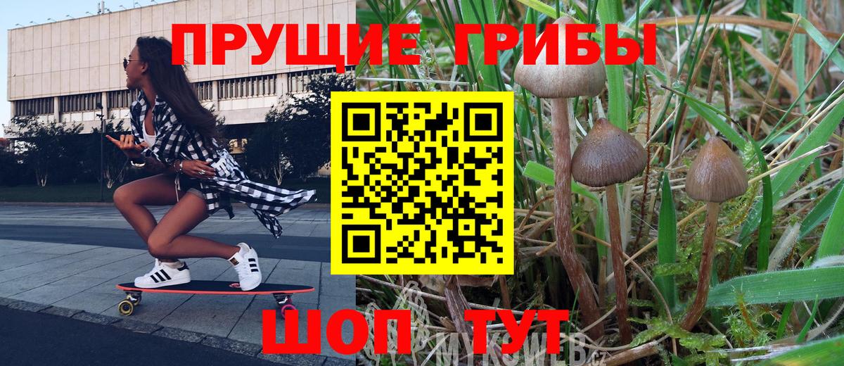 Галлюциногенные грибы Magic Shrooms Люберцы
